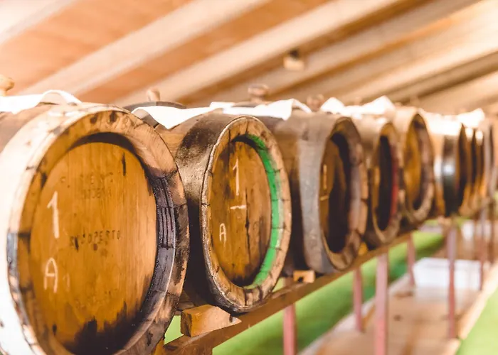 San Pellegrino سبيلامبيرتو