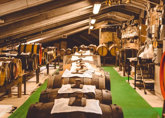 San Pellegrino 3* Spilamberto