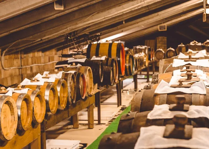 فندق San Pellegrino سبيلامبيرتو